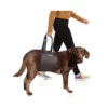 Labra Veterinarian Approved Dog Canine K9 Sling Lift Adjustable Straps Support Harness Helps with Loss of Stability Caused by Joint Injuries and Arthritis ACL Rehabilitation Rehab