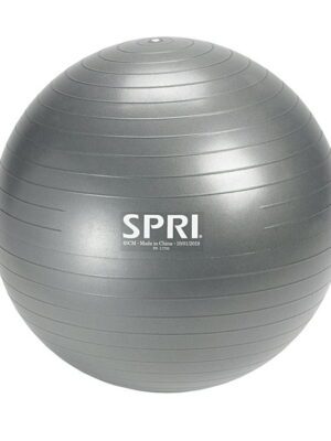 SPRI Weighted Stability Exercise Ball, 65CM, Grey
