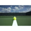 Wilson Titanium All Court Tennis Balls, 3 Ball Can