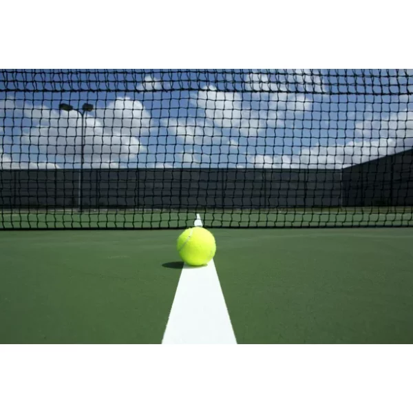 Wilson Titanium All Court Tennis Balls, 3 Ball Can