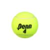 Penn Championship Extra Duty High-Altitude Tennis Ball Can (3 Balls)