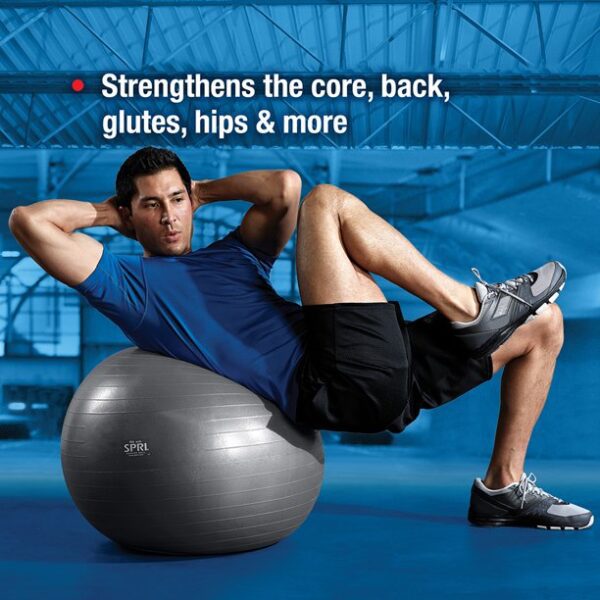 SPRI Weighted Stability Exercise Ball, 65CM, Grey