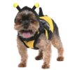 Vibrant Life Halloween Dog Costume and Cat Costume: Bumble Bee, Size Extra-Small