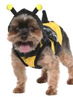 Vibrant Life Halloween Dog Costume and Cat Costume: Bumble Bee, Size Extra-Small