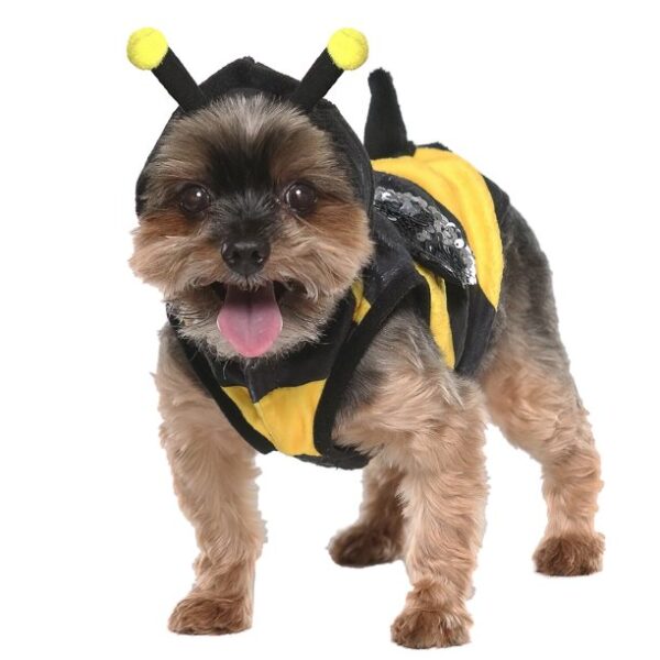 Vibrant Life Halloween Dog Costume and Cat Costume: Bumble Bee, Size Extra-Small