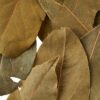 Great Value Bay Leaves, 0.12 oz