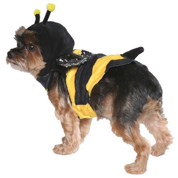 Vibrant Life Halloween Dog Costume and Cat Costume: Bumble Bee, Size Extra-Small