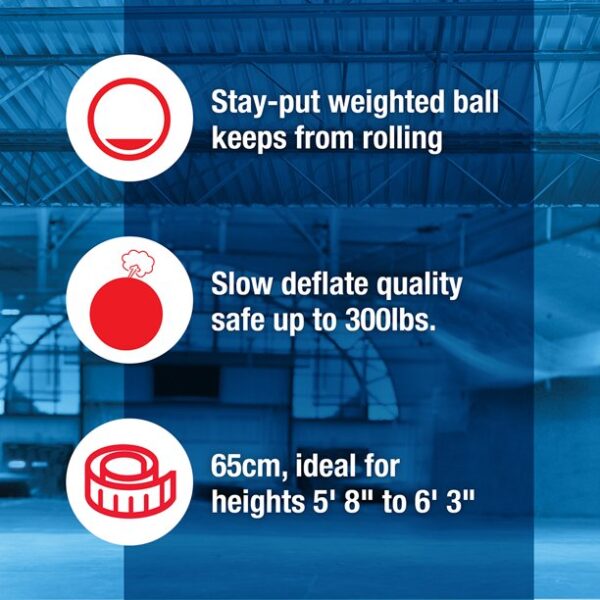 SPRI Weighted Stability Exercise Ball, 65CM, Grey