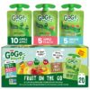 (20 Pack) GoGo Squeez Applesauce Pouch, Variety, 3.2 oz