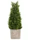 Better Homes & Gardens 23 in x 7.7 in Topiary Outdoor Spire Decor with Solar Powered Warm White LED Lights Orange Jasmine Natural
